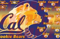 Cal Rookie Bears Banner