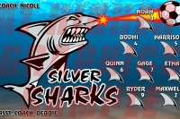Silver Sharks Banner
